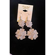Load image into Gallery viewer, Grab bag earrings click to see all styles available
